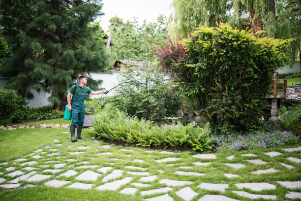 Best Pest Removal Services  in Carthage, IL