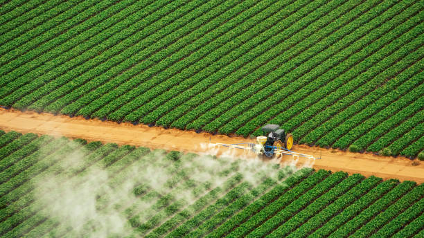 Best Local Pest Control Services  in Carthage, IL