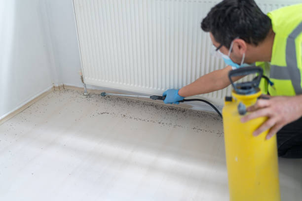 Best Pest Control for Restaurants  in Carthage, IL