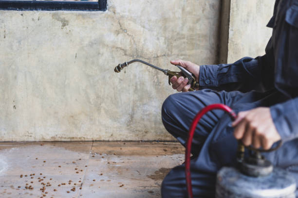 Best Pest Prevention Services  in Carthage, IL
